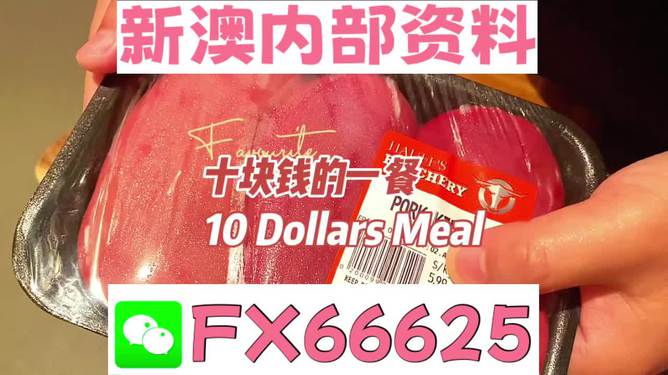 新澳免费资料精准大全,理论考证解析_经典版67.900