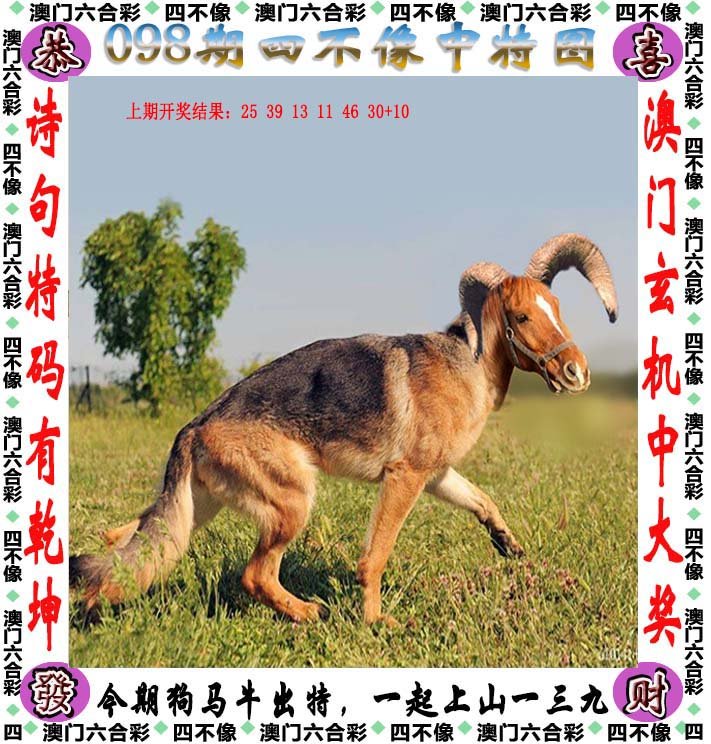 汽车饰品的销售 第406页