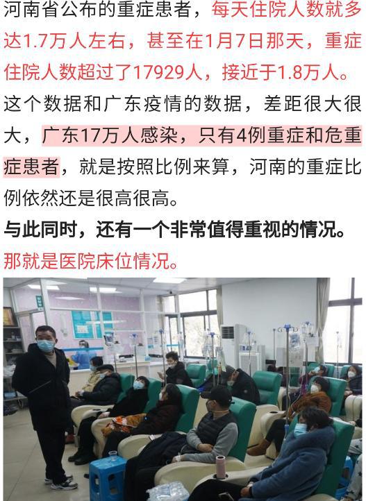 汽车饰品的销售 第376页