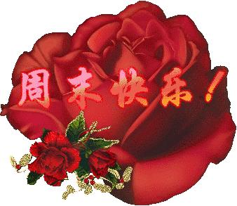 最新温馨祝福语，爱与陪伴，温暖每一天的心灵。