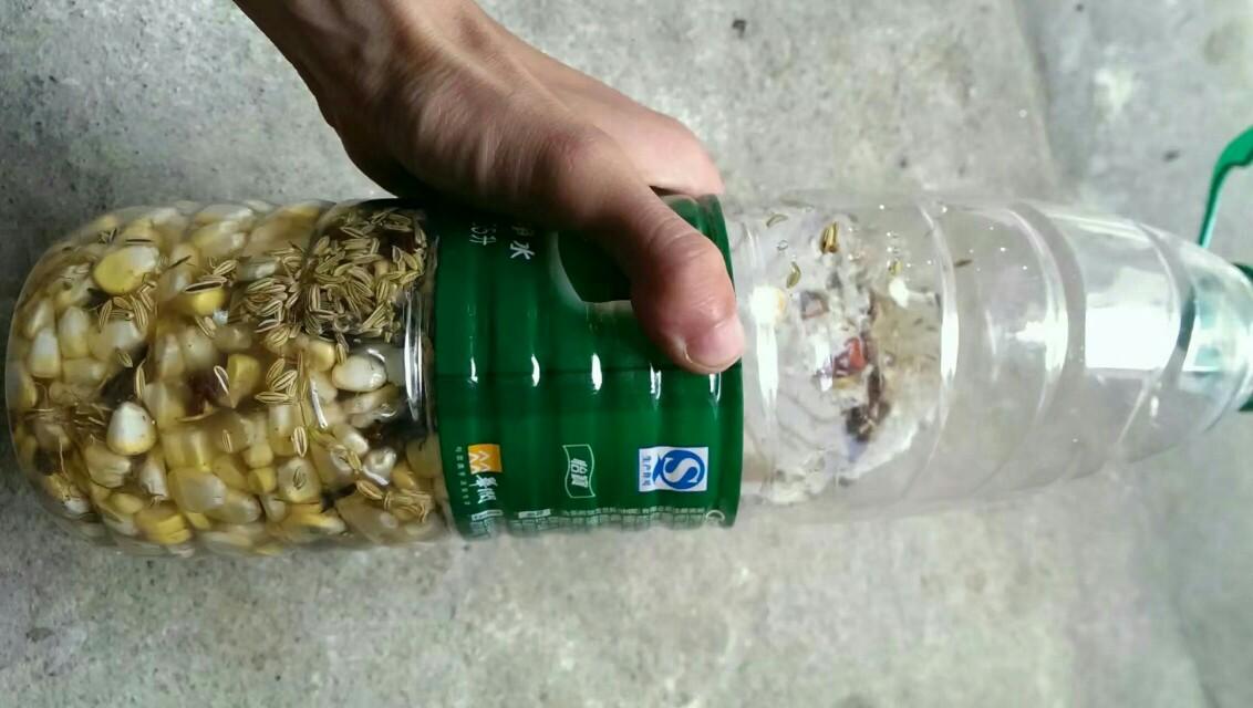 停车场服 第255页