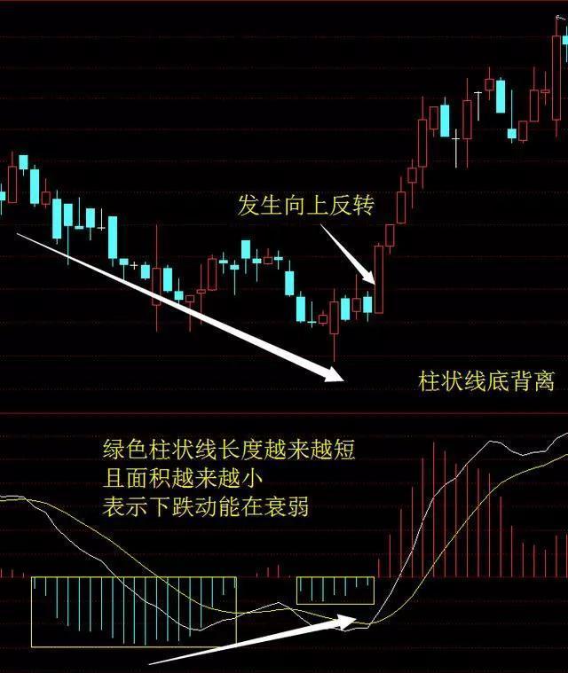 汽车饰品的销售 第252页