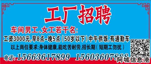 汽车饰品的销售 第225页