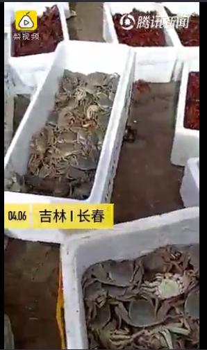 汽车及汽车配件 第146页