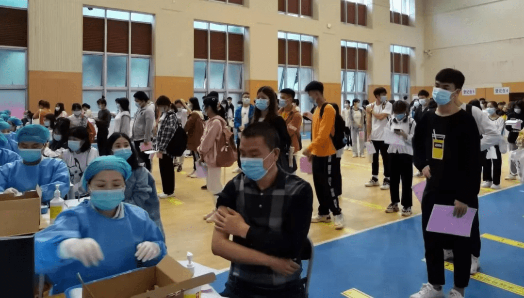 小榄司机招聘最新信息及巷弄深处的独特机遇概览