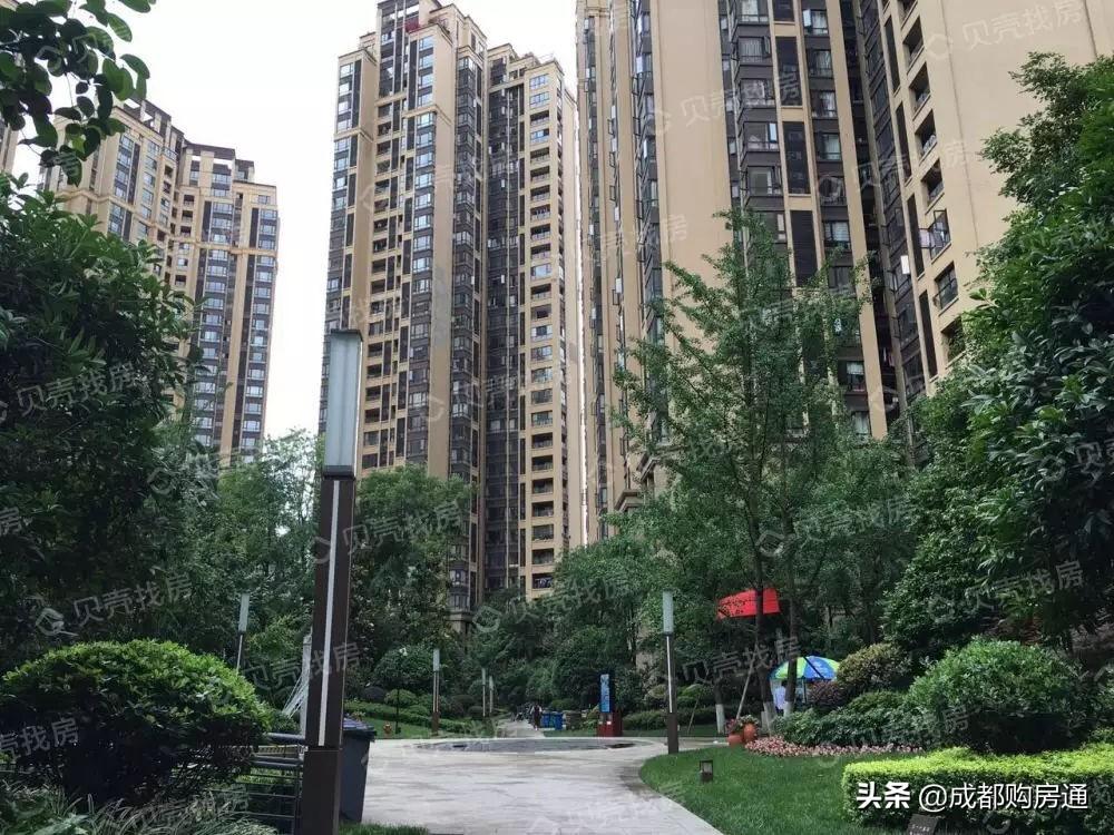 临哈铁路最新动态，全面指南与步骤详解