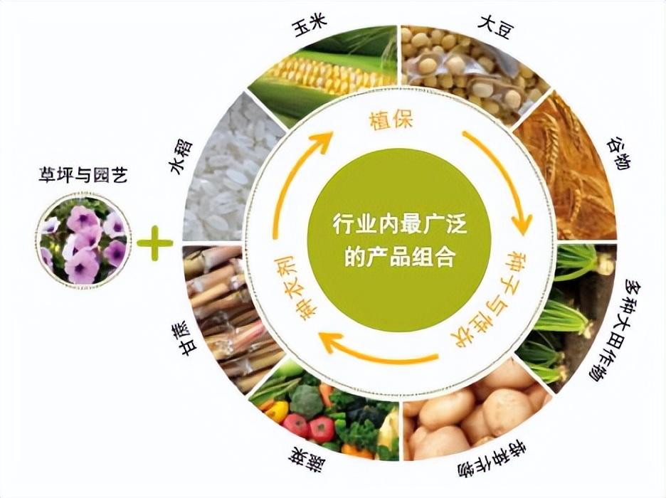 英特集团最新动态，心灵与自然的美景之旅