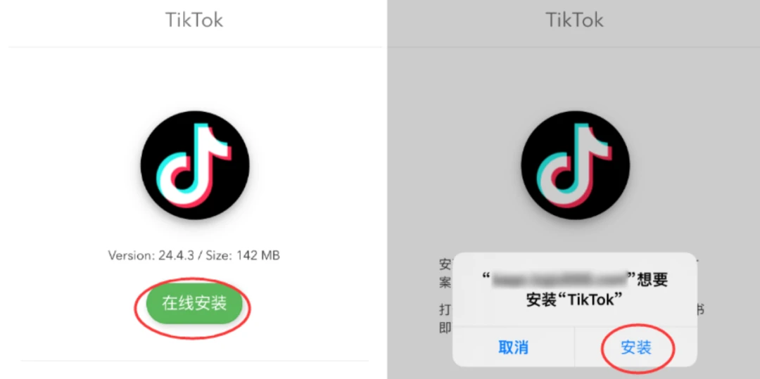 2024最新抖音名字大全，小红书风格指南