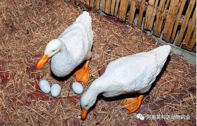 停车场服 第184页