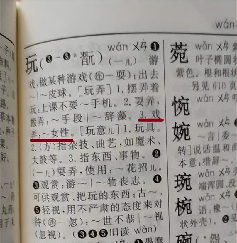 字典最新版，开启智慧之门的钥匙