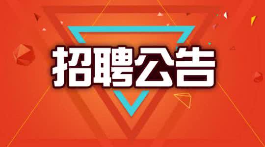 和县最新招聘，工作之旅中的温情故事启程