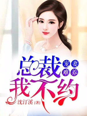程宁静最新小说深度探讨观点与影响