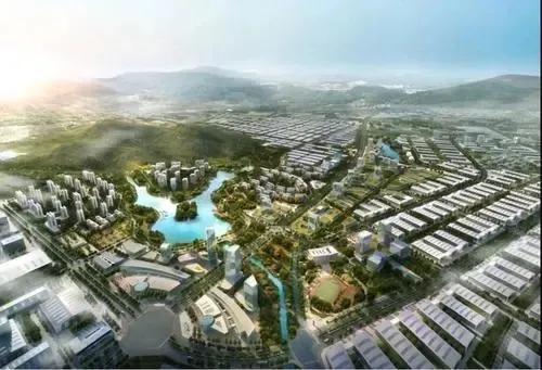 时代风潮还是社区挑战？，探讨2025最新广场舞
