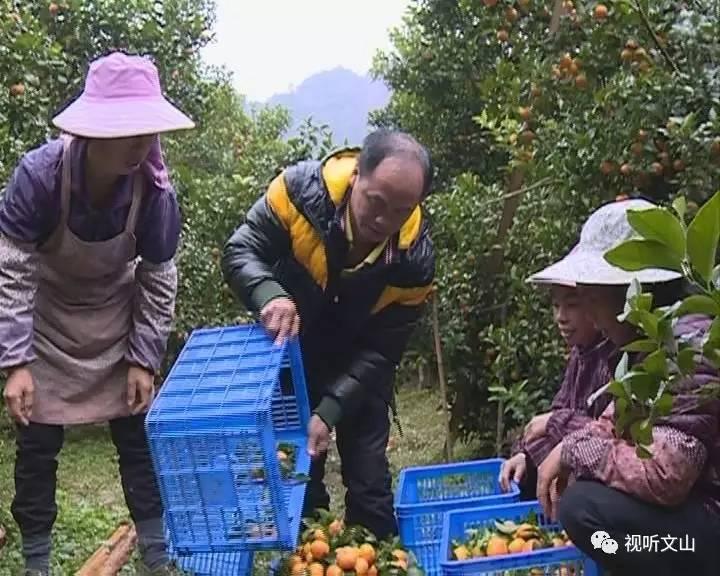 文山最新动态，小红书带你领略新风貌