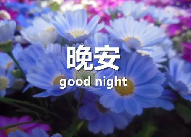 晚安签名新风尚，小巷深处的独特小店等你来探索！