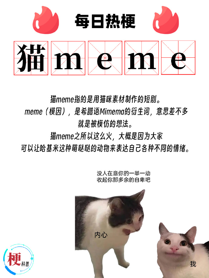 一只猫的励志成长故事，最新梗概与心灵之旅启程